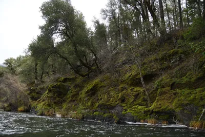 DSC_0207 (Large).JPG